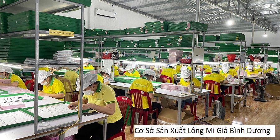 Cơ Sở Sản Xuất Lông Mi Giả Bình Dương