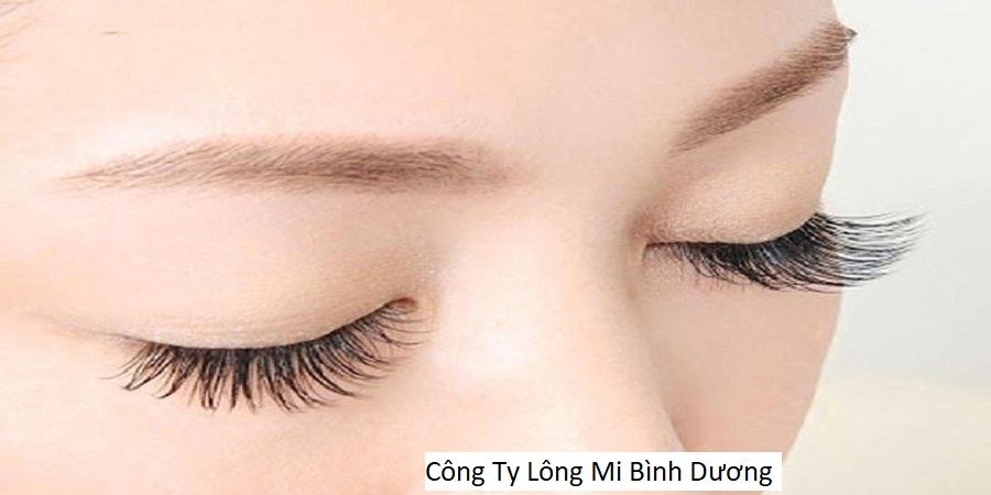 Công Ty Lông Mi Bình Dương