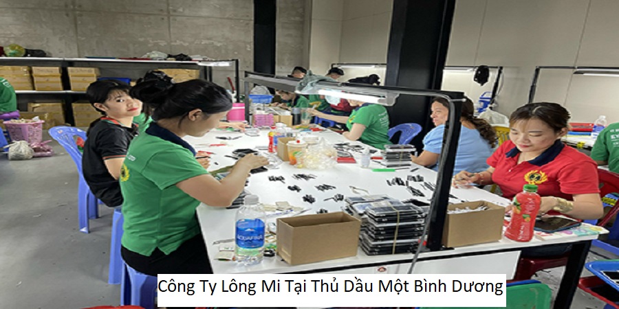 Công Ty Lông Mi Tại Thủ Dầu Một Bình Dương