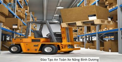 Đào Tạo An Toàn Xe Nâng Bình Dương