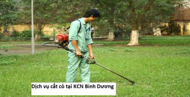 Chăm sóc cây xanh KCN Bình Dương