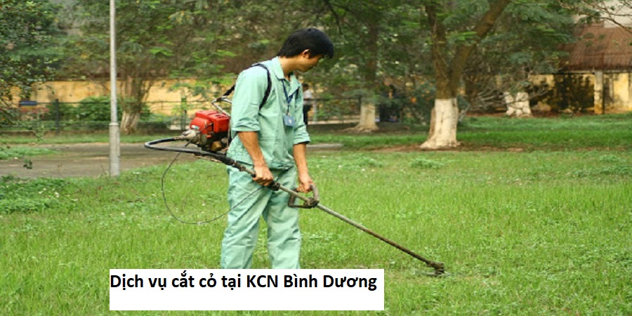 Chăm sóc cây xanh KCN Bình Dương