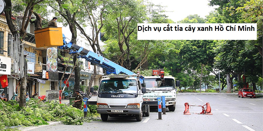 Dịch vụ cắt tỉa cây xanh Hồ Chí Minh