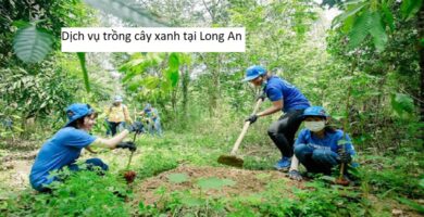 Dịch vụ trồng cây xanh tại Long An