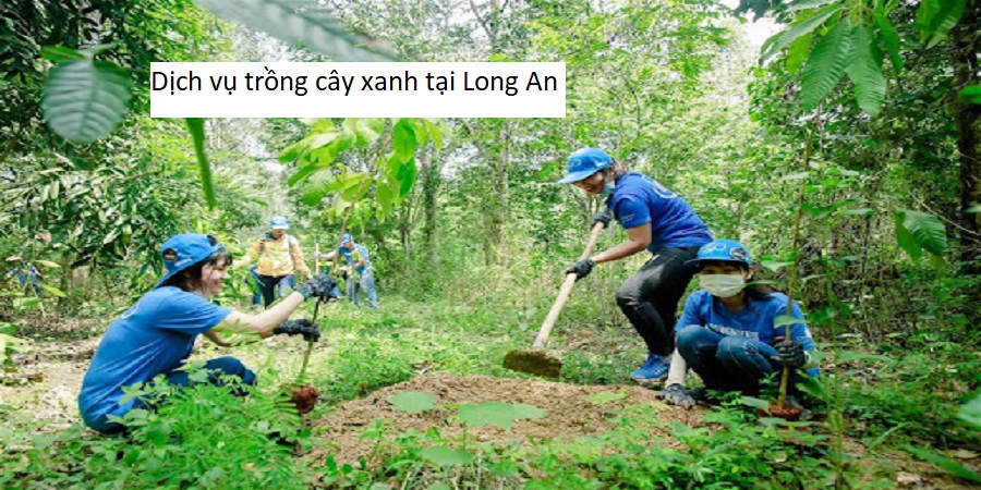 Dịch vụ trồng cây xanh tại Long An