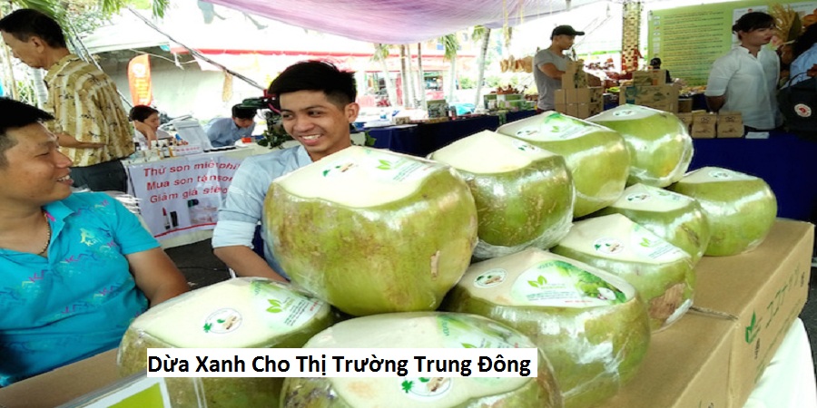 Dừa Xanh Cho Thị Trường Trung Đông