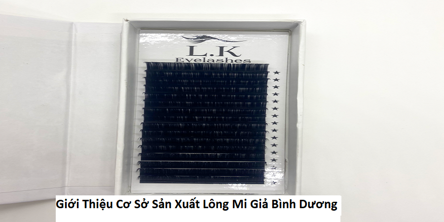 Giới Thiệu Cơ Sở Sản Xuất Lông Mi Giả Bình Dương