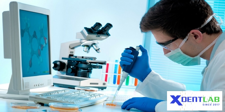 Lab to Lab Services district 6 Ho Chi Minh