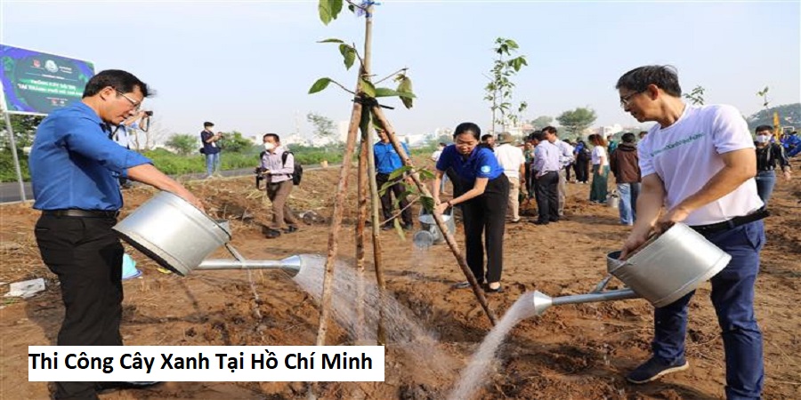 Thi Công Cây Xanh Tại Hồ Chí Minh
