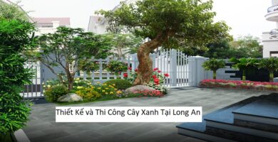 Thiết Kế và Thi Công Cây Xanh Tại Long An