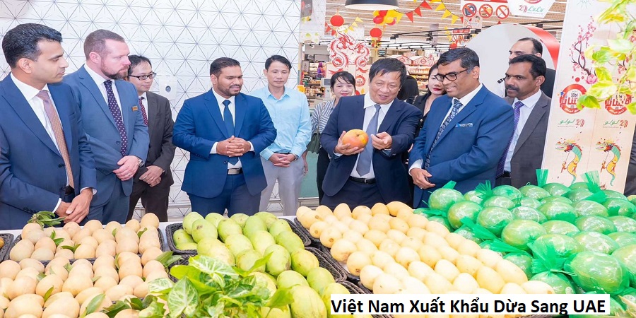 Việt Nam Xuất Khẩu Dừa Sang UAE