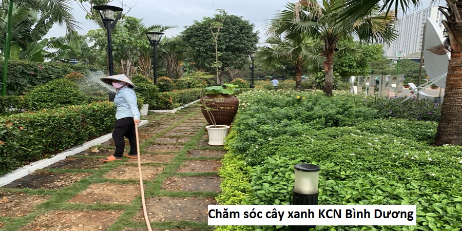 Chăm sóc cây xanh KCN Bình Dương
