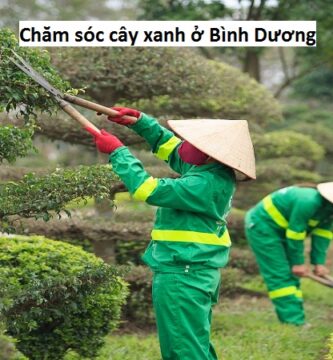 Chăm sóc cây xanh ở Bình Dương