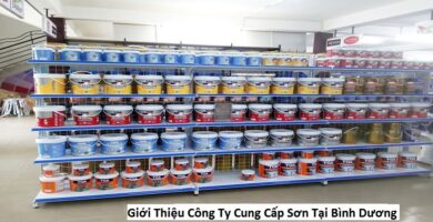 Giới Thiệu Công Ty Cung Cấp Sơn Tại Bình Dương