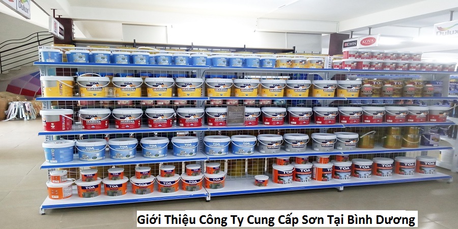 Giới Thiệu Công Ty Cung Cấp Sơn Tại Bình Dương