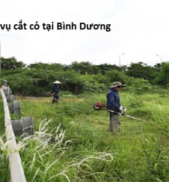 Dịch vụ cắt cỏ tại Bình Dương
