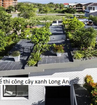 Thiết kế thi công cây xanh Long An