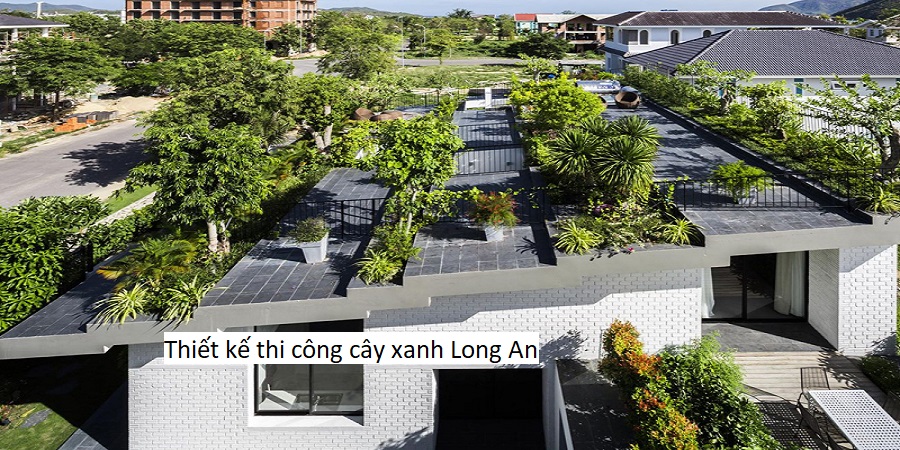 Thiết kế thi công cây xanh Long An